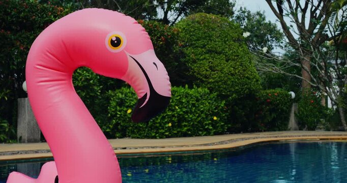 Pink flamingo float in pool, closeup view of inflatable neck and beak, calm blue water reflecting trimmed hedges and garden, sunny daytime leisure with bright colors and relaxed summer vibe