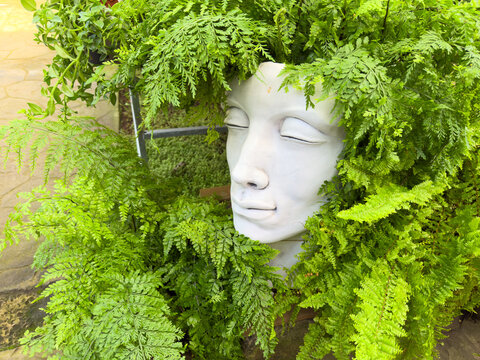 Mannequin head overgrown with ferns, white plaster face framed by dense green foliage, closeup texture contrast between synthetic sculpture and organic growth,