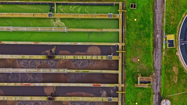 Different tanks at a wastewater treatment facility display stages of water filtration and processing. Green algae and dark sediments are visible in the tanks on a clear day.