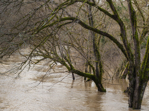 Crue de la rivi&egrave;re La Midouze, &agrave; proximit&eacute; de Mont-de-Marsan, suite &agrave; la temp&ecirc;te Nils
