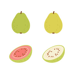 Fototapeta premium Set of white and pink guava fruit vector illustration for tropical food icon.