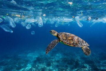 Obraz premium Underwater shot of a sea turtle swimming just below the water's surface, surrounded by floating plastic bags, bottles, and debris, highlighting ocean pollution