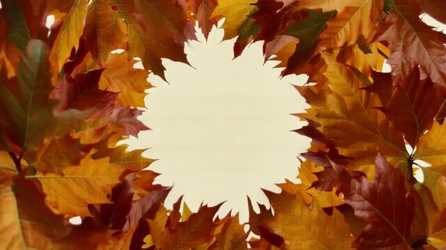 Autumn leaves arranged in a circular frame on a blank background  