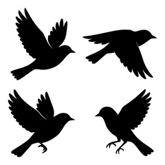 Minimalist Silhouettes of Birds in Flight and Landing
