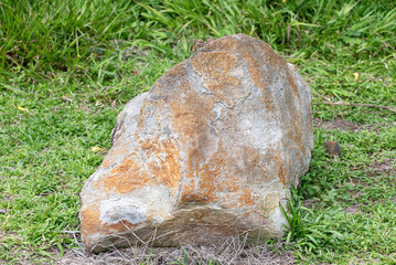 Obraz premium Close-up Natural Stone Boulder Texture Detail on Green Grass Field