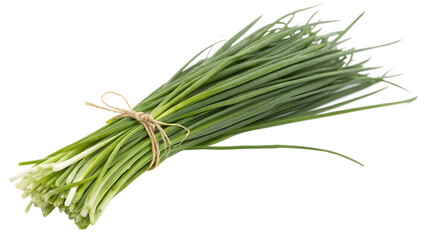 Fresh bunches of green chives Allium schoenoprasum leaves tied with natural twine isolated on a transparent background