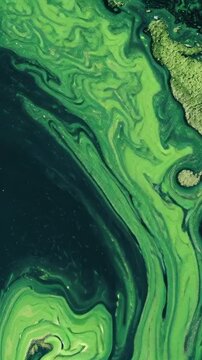 Swirling Green Algae Patterns in Ocean Water with Dark Background