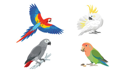 Obraz premium Vibrant Exotic Parrots Collection Illustration Set