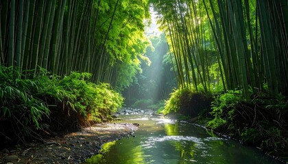 Fototapeta premium Sunlit bamboo forest with a stream, creating a tranquil, serene atmosphere