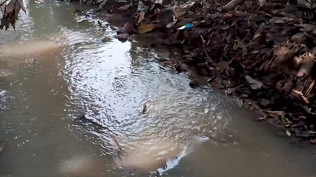 fast flowing small river water from upstream to downstream