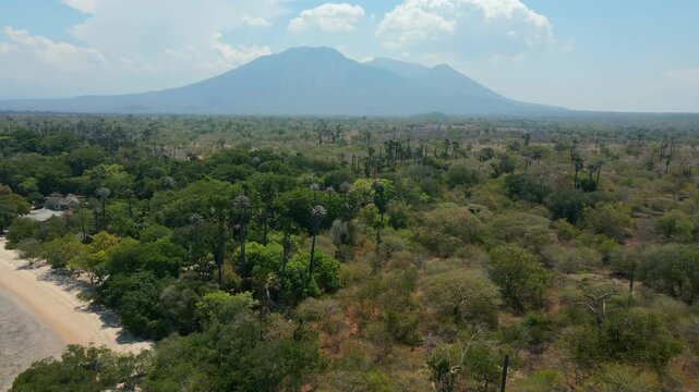 Aerial Landscape of Baluran National Park, Savanna and Mountain View Indonesia