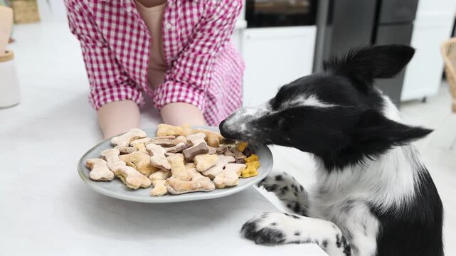 Woman with plate of bone shaped cookies near cute dog in kitchen