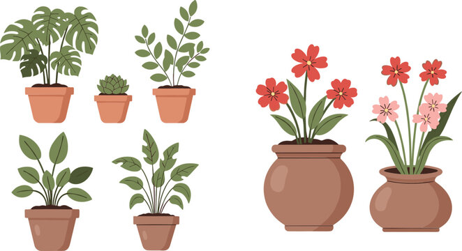 Potted houseplants and flowering plants collection in ceramic pots isolated on white background for home decor designs