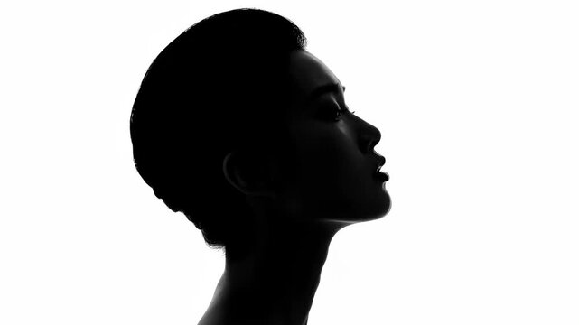 Silhouette Portrait of an Elegant Woman - This is a striking, high-contrast silhouette of a woman's face and upper body in profile.