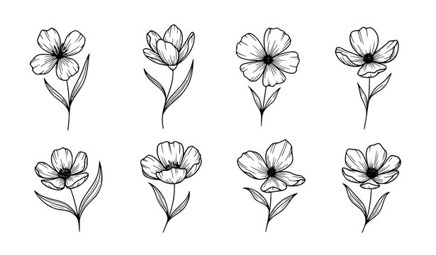 Contemporary Minimal Wild Flower Tattoo Collection Vector Line Art Set