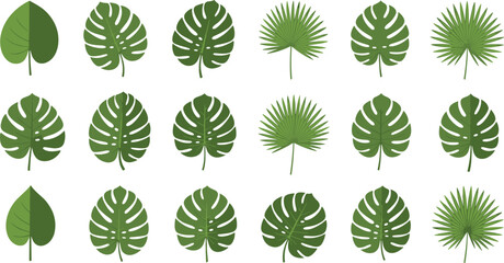 Tropical Monstera Palm Leaves and Fresh Herbal Greenery Flat Illustration Design Elements