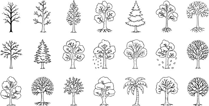 Set of diverse hand-drawn tree illustrations. Includes deciduous, evergreen, and palm trees in simple line art style, perfect for nature icons.
