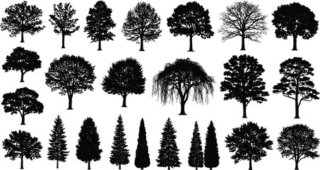 Fototapeta premium Twenty-seven varied deciduous and coniferous tree silhouettes display different shapes and densities for landscape design use.
