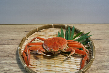 日本海の冬の味覚 兵庫県産セコガニ
