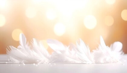 Soft White Feather on Golden Bokeh Background, Elegant Dreamy Abstract Texture