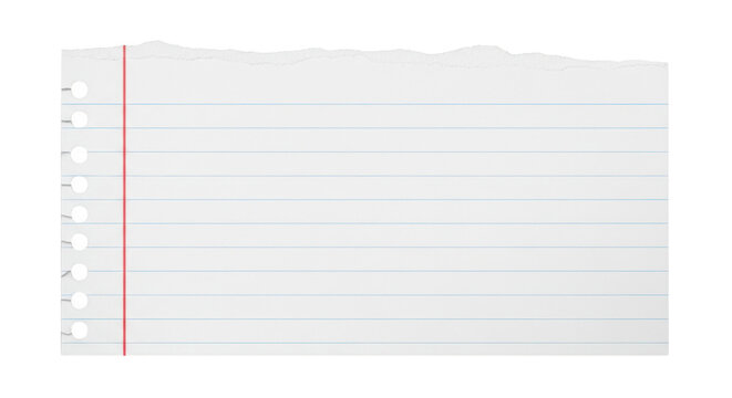 Torn lined paper with red margin and holes isolated on transparent background for notes