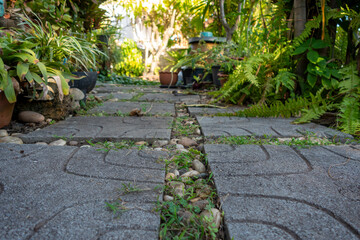 Garden walkway Background Textured
