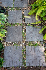 Garden walkway Background Textured