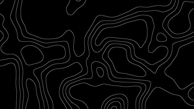 Topography texture animation. Topographic animation of white squiggly lines with contour map depth suitable for abstract presentations, geography projects, digital art, educational videos.