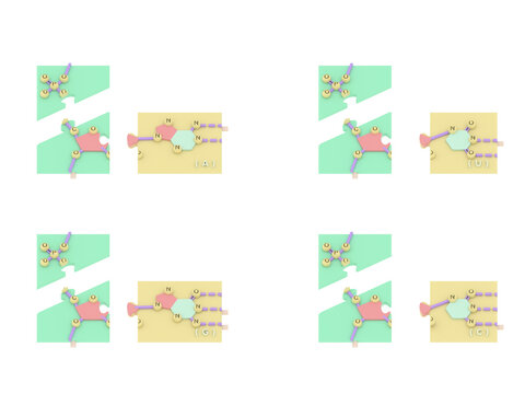2.5D Science Educational Puzzle: 4 Types of RNA Nucleoside Monophosphates (NMPs) Structure Model