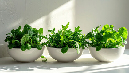 Fototapeta premium Minimalist spinach and arugula on off white