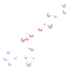 Obraz premium Colorful Butterflies PNG Transparent Illustration