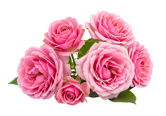 Fototapeta premium Beautiful bouquet of pink roses with green leaves on transparent background