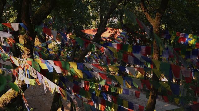 Rows of multi-colored prayer flags between large trees near Changu Narayan Temple, Nepal, scenic view