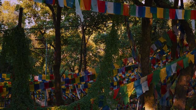 Vibrant prayer flags stretched among tall forest trees near Changu Narayan Temple, Nepal, glowing in sunlight