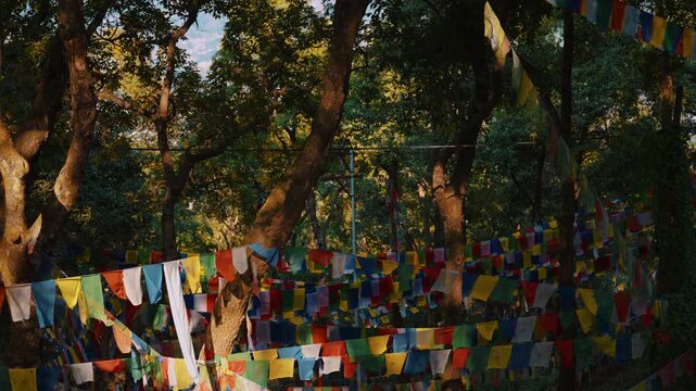 Buddhist prayer flags in gentle wind, forested area near Changu Narayan Temple, Nepal, serene scene