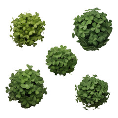 Assortment of five lush green clover balls on black background