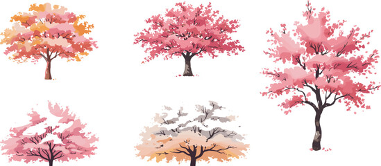 Set of pink blooming cherry blossom trees illustration, spring sakura collection isolated on white background, decorative floral tree clipart for seasonal design © Mst