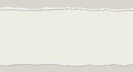 Fototapeta premium Torn paper edge with rough texture on a neutral background viewed from a straight-on perspective like img_n75lcm_fx.jpg