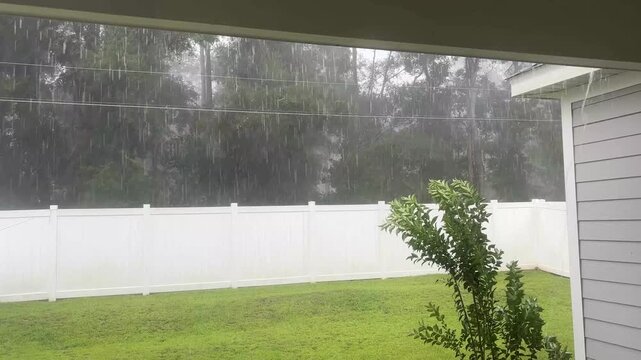 Watching summer rain falling on grassy backyard. Static