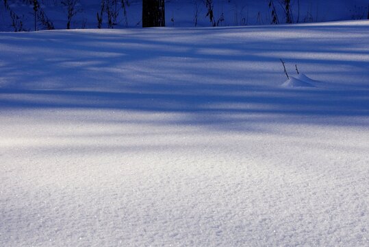 山裾の雪原