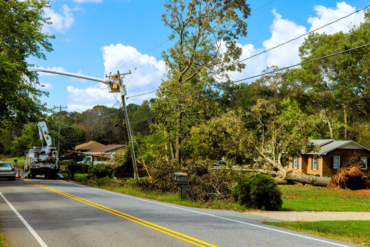 Cleanup efforts after tree falls on house in residential area