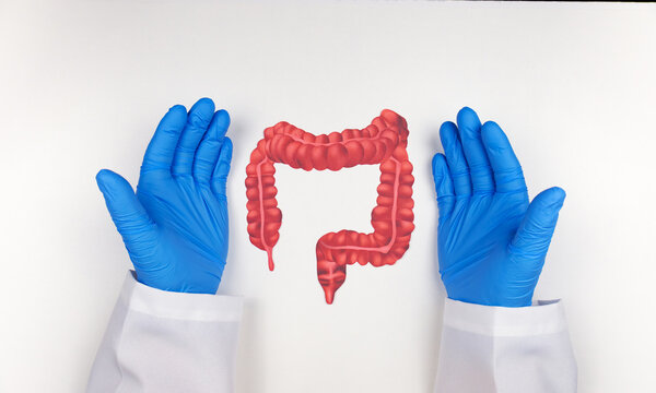 A doctor's hand, wearing blue gloves, points to a cardboard cutout of the large intestine on a wooden table. Concept colorectal cancer prevention, early diagnosis, gastroenterology, gut health