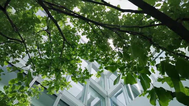 Modern architectural building featuring a striking glass facade reflects a bright sunny sky, with green leaves framing the upper view, symbolizing urban nature and sustainable design