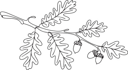 Oak branch with acorn drawn in one line. Floral sketch. Continuous line drawing autumn leaves. one line Art icon drawing vector © MDROBIUL