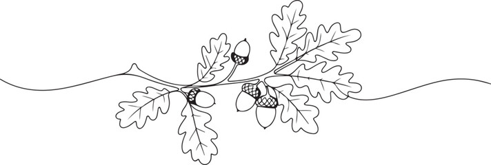 Oak branch with acorn drawn in one line. Floral sketch. Continuous line drawing autumn leaves. one line Art icon drawing vector © MDROBIUL