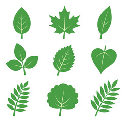 Simple vector leaf icons set featuring different types of foliage for nature themed designs