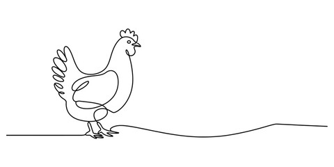 Continuous line drawing of a chicken standing on a simple line against a white background Vector, illustration © Single Line Art