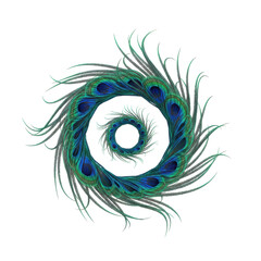 Obraz premium Peacock Feather Spiral Artistic Design Element