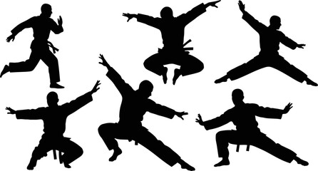 Martial arts silhouette set karate fighters jumping posing isolated on white background, combat sport vector illustration collection design element © Hello World