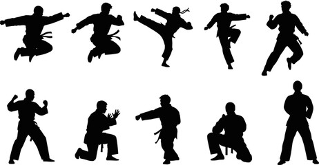 Martial arts karate silhouette set fighters jumping kicking punching poses isolated on white background, combat sport action vector illustration collection © Hello World